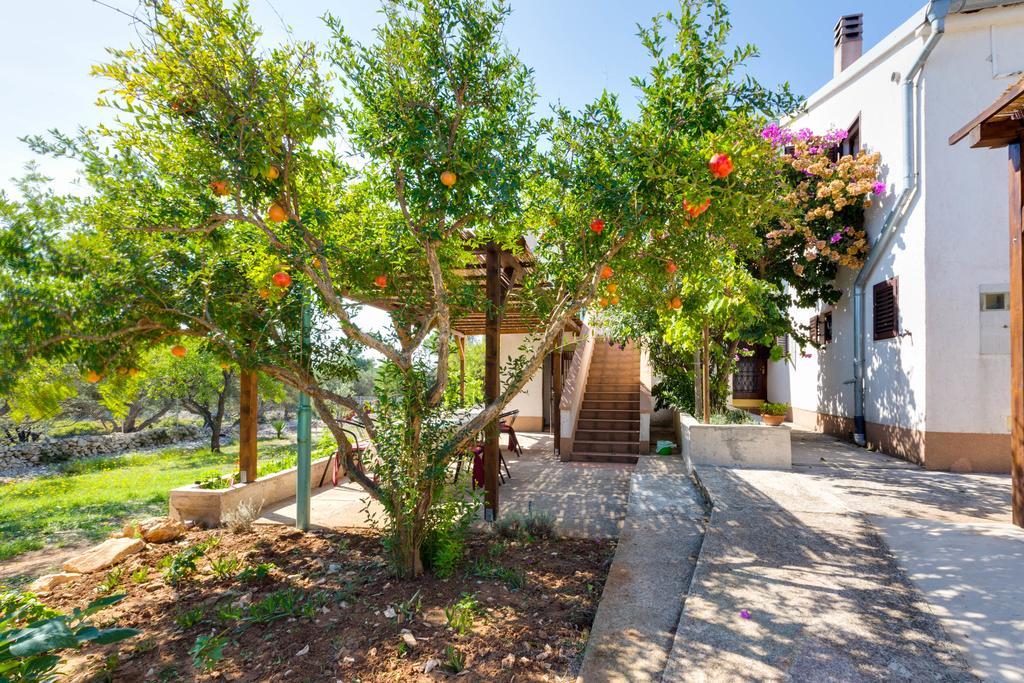 Eco Secluded Apartments Zabodarski Cunski Exterior photo